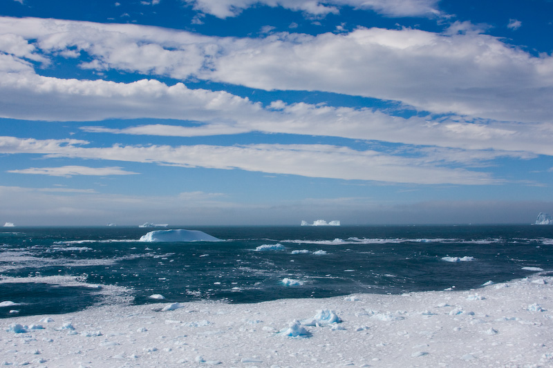 Icebergs And Brash Ice